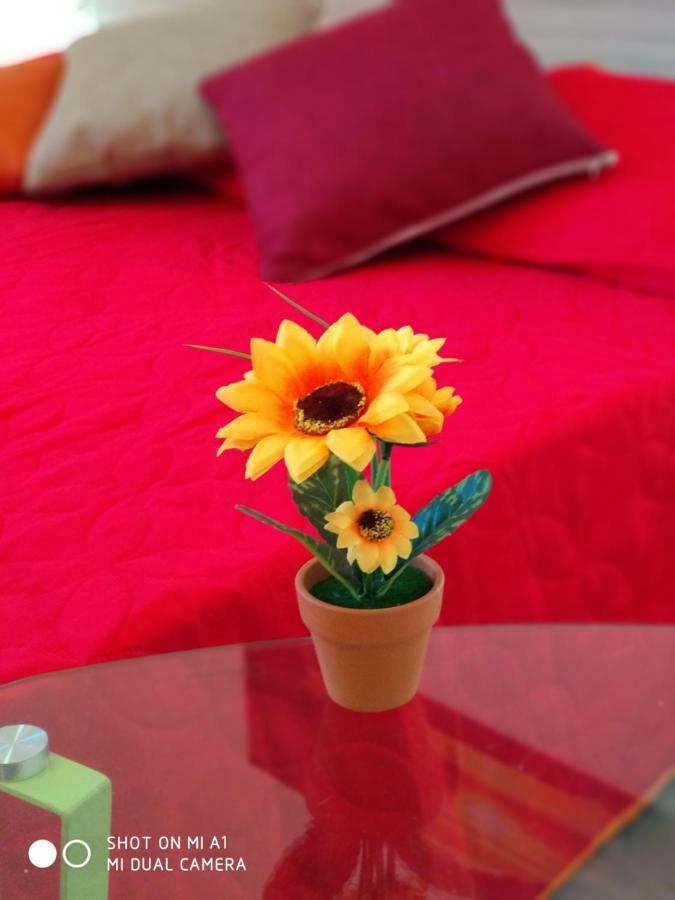 Sole Di Castellammare Bed & Breakfast Castellammare del Golfo Exterior foto